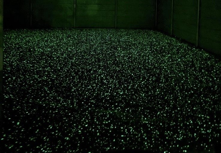 glow in the dark flake